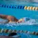 Swimmer in a pool, wearing goggles and a cap, mid-stroke near lane dividers.